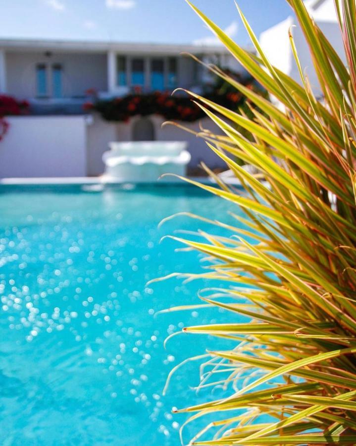 Trade Winds Hotel Dickenson Bay المظهر الخارجي الصورة