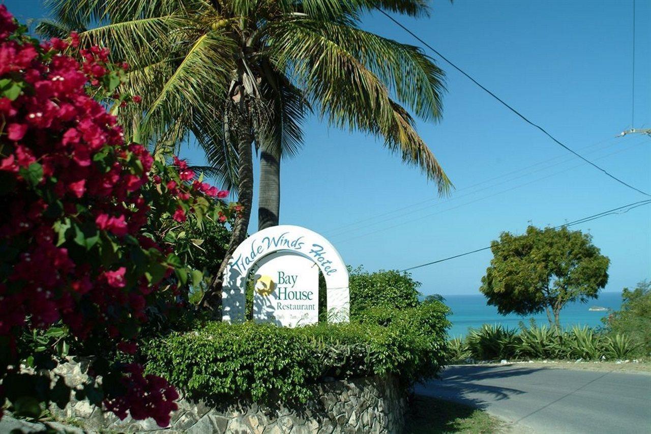 Trade Winds Hotel Dickenson Bay المظهر الخارجي الصورة