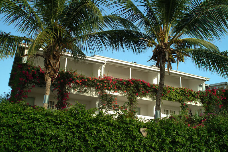 Trade Winds Hotel Dickenson Bay المظهر الخارجي الصورة