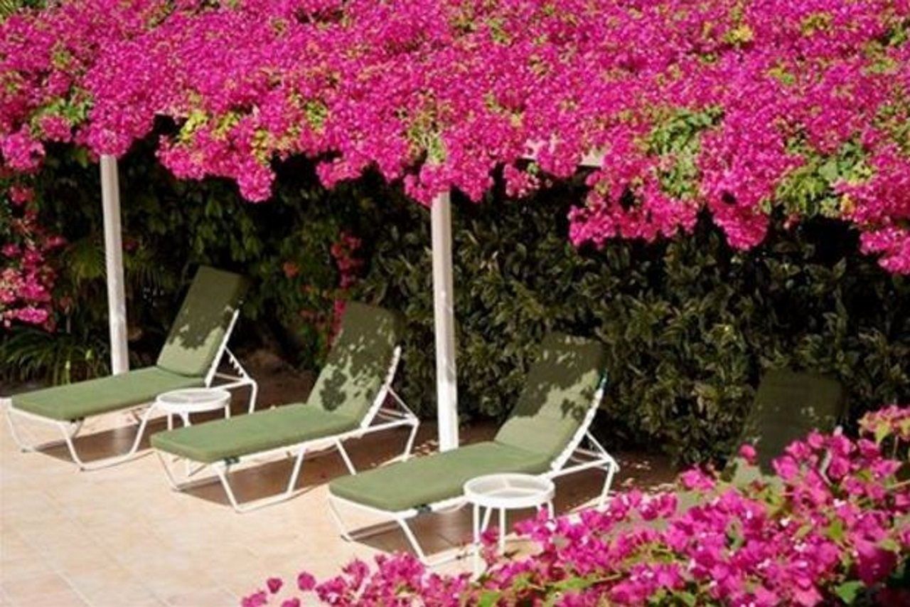 Trade Winds Hotel Dickenson Bay المظهر الخارجي الصورة