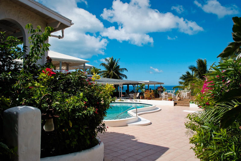 Trade Winds Hotel Dickenson Bay المظهر الخارجي الصورة