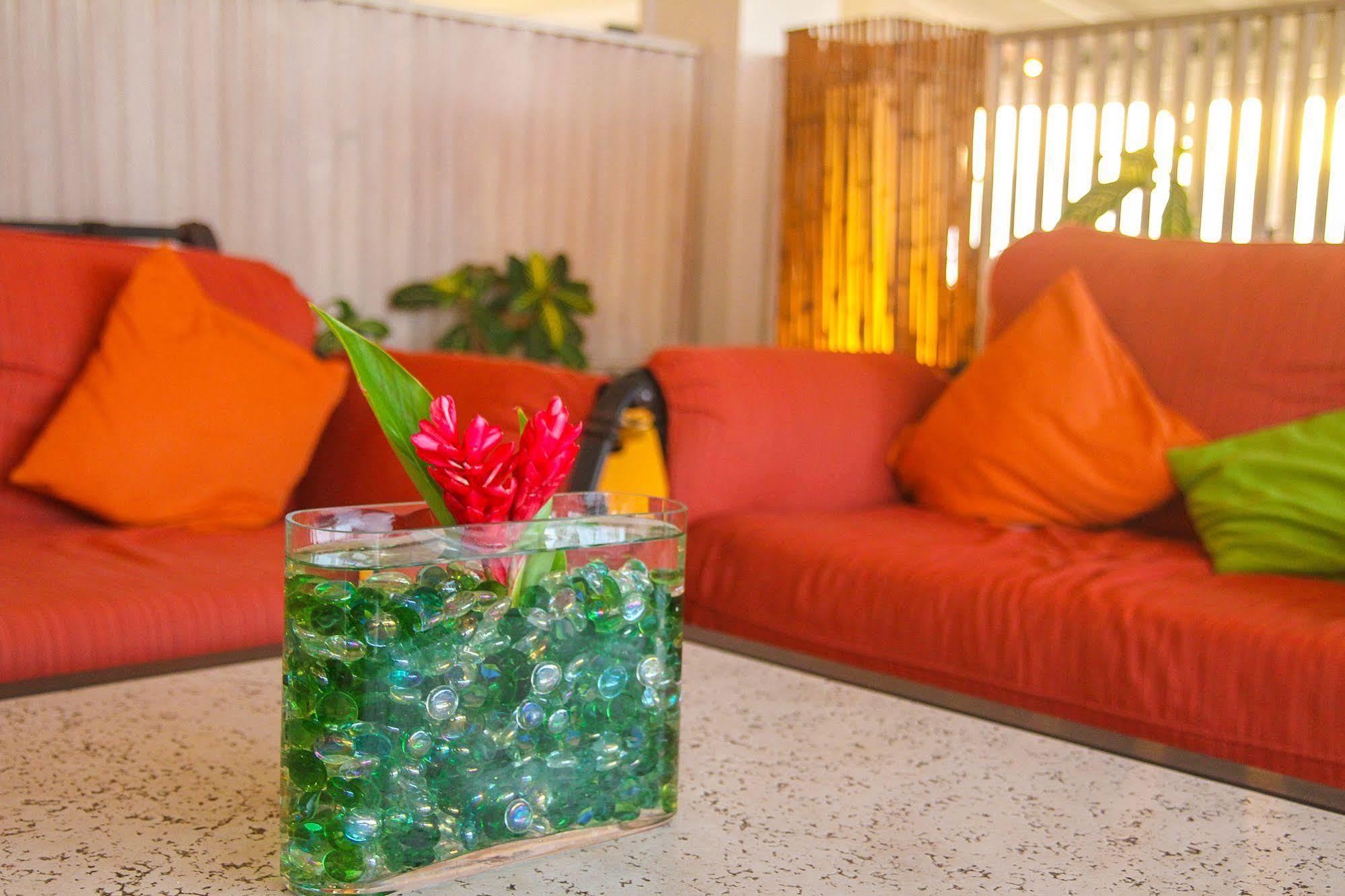Trade Winds Hotel Dickenson Bay المظهر الخارجي الصورة